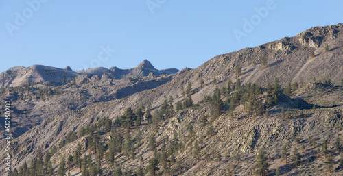 Dry rocky desert mountain landscape with trees. Sunny Morning Sky. California, United States of America. Nature Background.