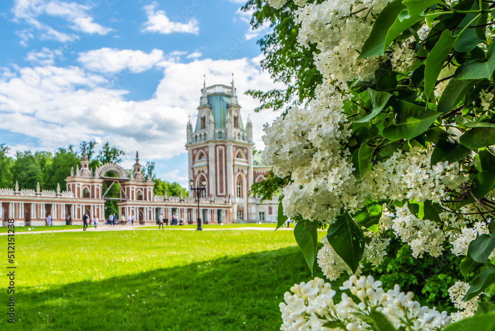 Ταπετσαρία White lilac against the backdrop of the Grand Palace in Tsaritsyno park, Moscow,