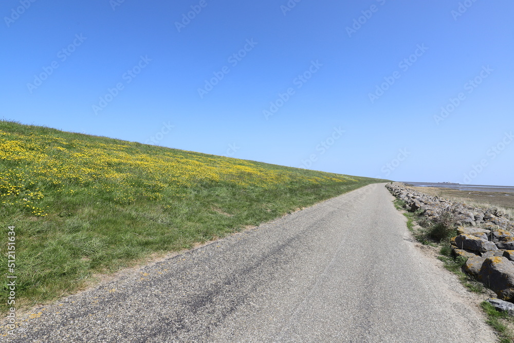 View over a road along a dike with buttercups and a beautiful blue sky.