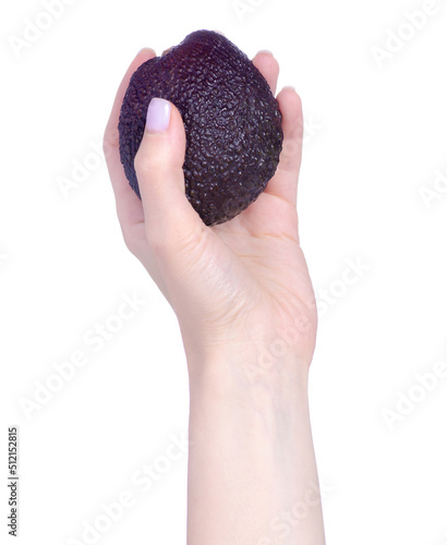 Fresh hass avocado in hand on white background isolation