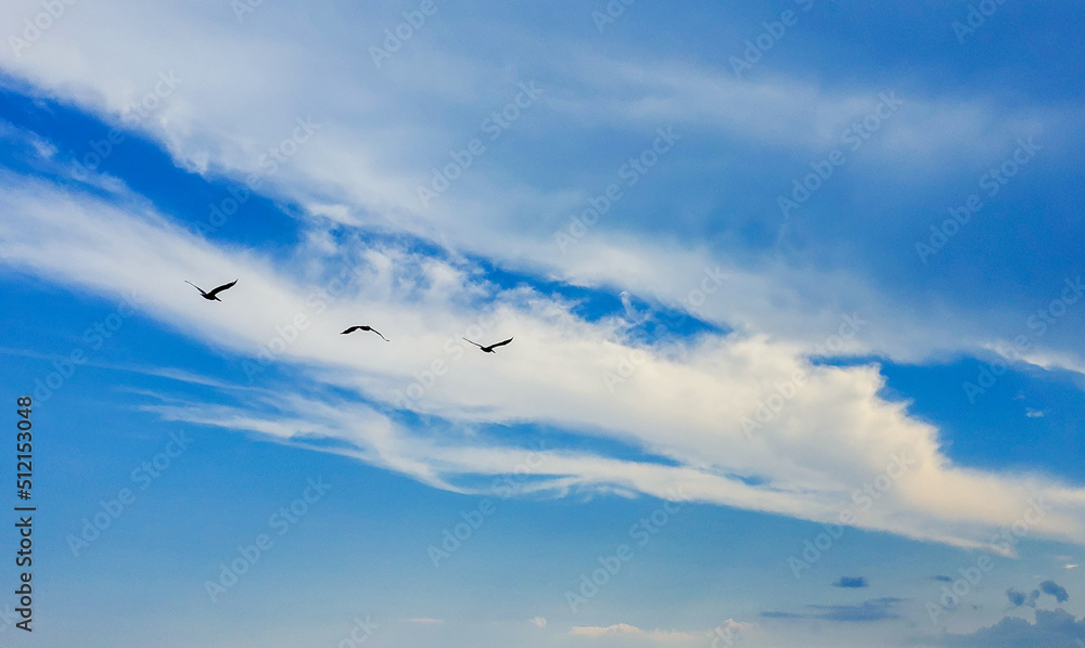 Pelicans flying at Fort Morgan Beach Pelicans flying at Fort Morgan Beach