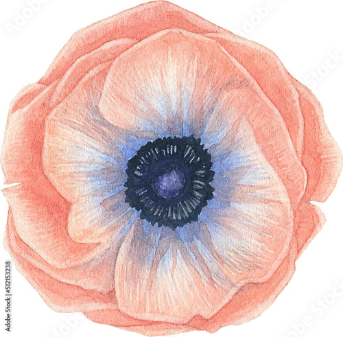 Fototapeta Naklejka Na Ścianę i Meble -  Watercolor Enthusiast Graphic Kit 32