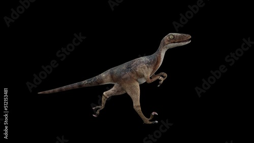 Deinonychus Dinosaur Run, animation.Full HD 1920×1080.6 Second Long.Transparent Alpha video.LOOP. photo