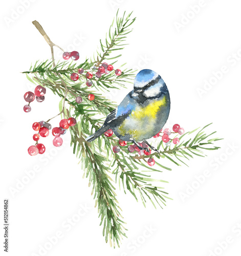 Watercolor Woodland bird plants Merry Christmas card design iillustration,Cute Drawing Christmas frame decoration for greeting card, poster, invitation, baby shower Merry Christmas,New Year, holiday © Catherine