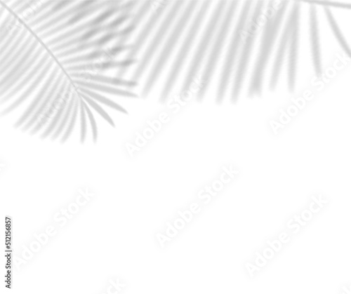 Tropical Leaves Shadows Transparent Overlay