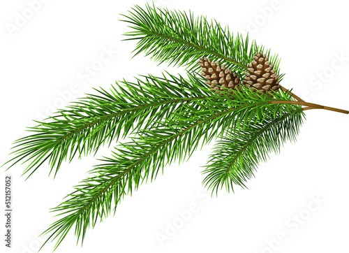 Print op canvas Christmas tree branche fir twig