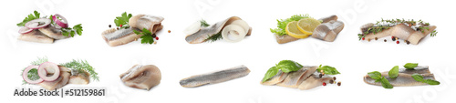 Konstfotografi Set with delicious salted herring fillets on white background