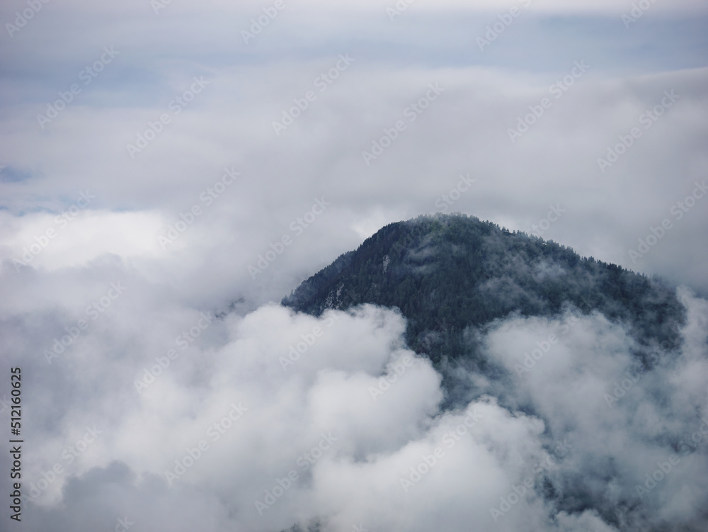 Stunning view of the forested mountain peak with the surrounding mist of Velika Planina, Slovenia	
