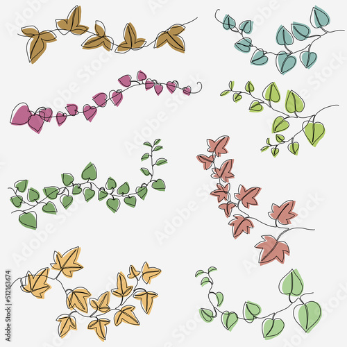 Simplicity ivy continuous line freehand drawing collection.