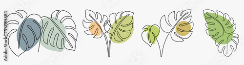 Simplicity monstera leaf freehand continuous line drawing flat design.