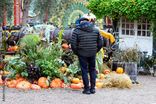 Beautiful Halloween decoration with orange pumpkis in the park or in the garden. photo