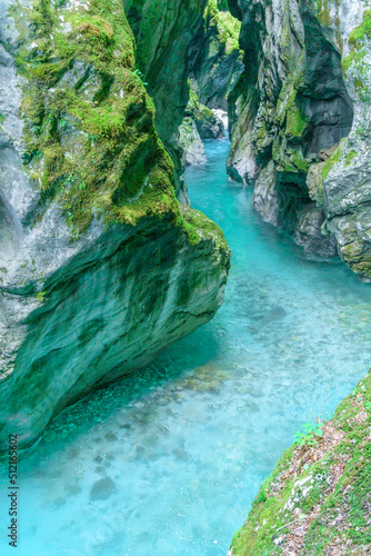 Canvas Print The beautifull emerald green river Soca in the middle of the triglav national pa