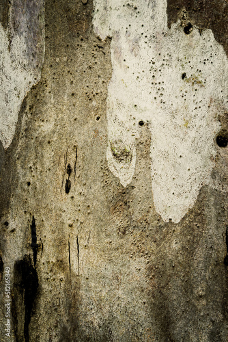 Obraz na płótnie Tree's textures w salonie