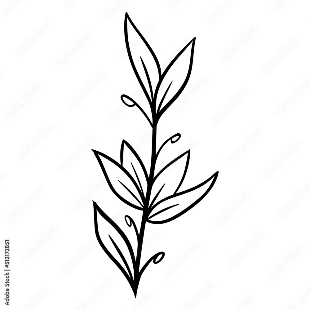 Fototapeta premium black and white leaves, floral botanical hand drawn vector illustration