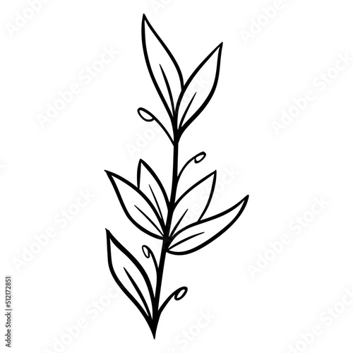 black and white leaves, floral botanical hand drawn vector illustration © wellyans