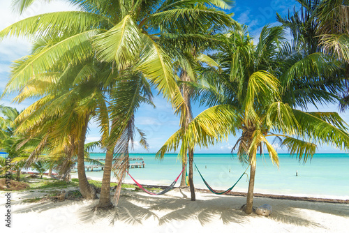 Fototapeta Naklejka Na Ścianę i Meble -  Tropical landscape: beautiful beach with hammock and tropical sea. Summer and travel vacation concept. Paradise beach on a sunny day, Mexico.