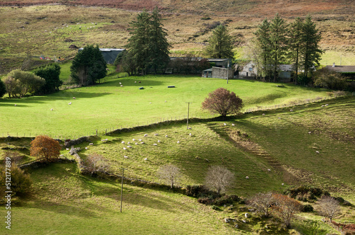 Photography The Irish rural and upland landscape