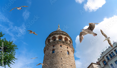 Galata Tower in Istanbul Turkey, famous turist destination in Istanbul with seagulls photo