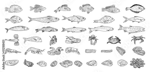 Seafood vector illustrations. Healthy food natural set. Hand drawn vector sea fish, oyster, lobster, octopus, crabs, shrimps, fish fillet.