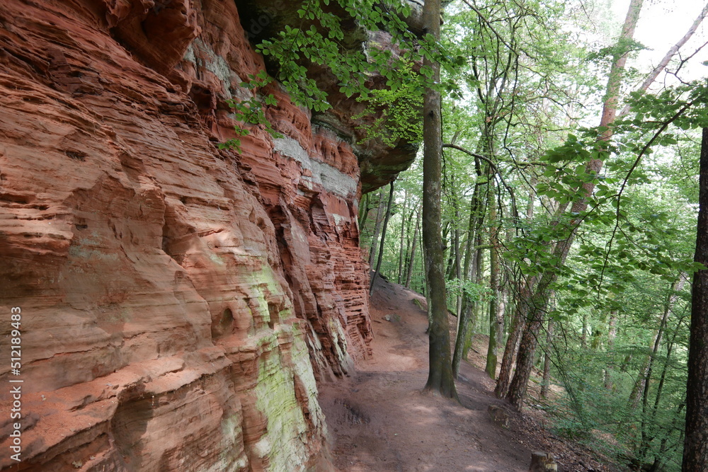 Wanderweg am Altschlossfelsen im Pfälzerwald