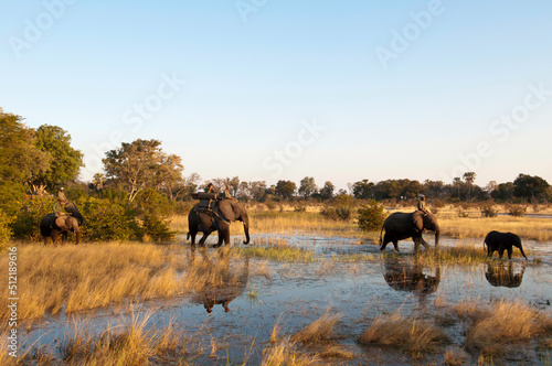 Tourists on African elephants (Loxodonta africana) during safari, Abu Camp, Okavango Delta, Botswana photo