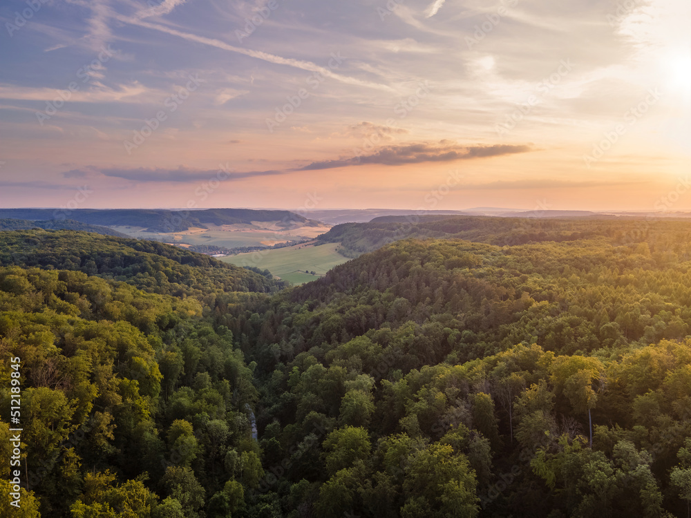 Luftaufnahme Wald, Wanderweg und Hügel im Sommer (Drohne)