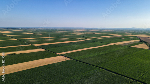 Bird's eye view of abstraction agricultural area and green wavy fields in sunny day.