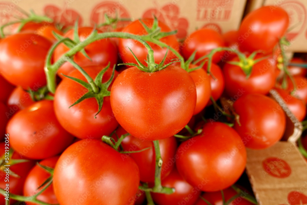 Delicious red tomatoes. Summer tray full of organic vegetables can be used as market agriculture farm background. Delicious red tomatoes. Summer tray full of organic vegetables can be used as market agriculture farm background.