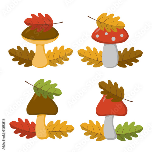 A set of brown and red mushrooms (boletus, fly agaric) with leaves in a flat style. Vector image.