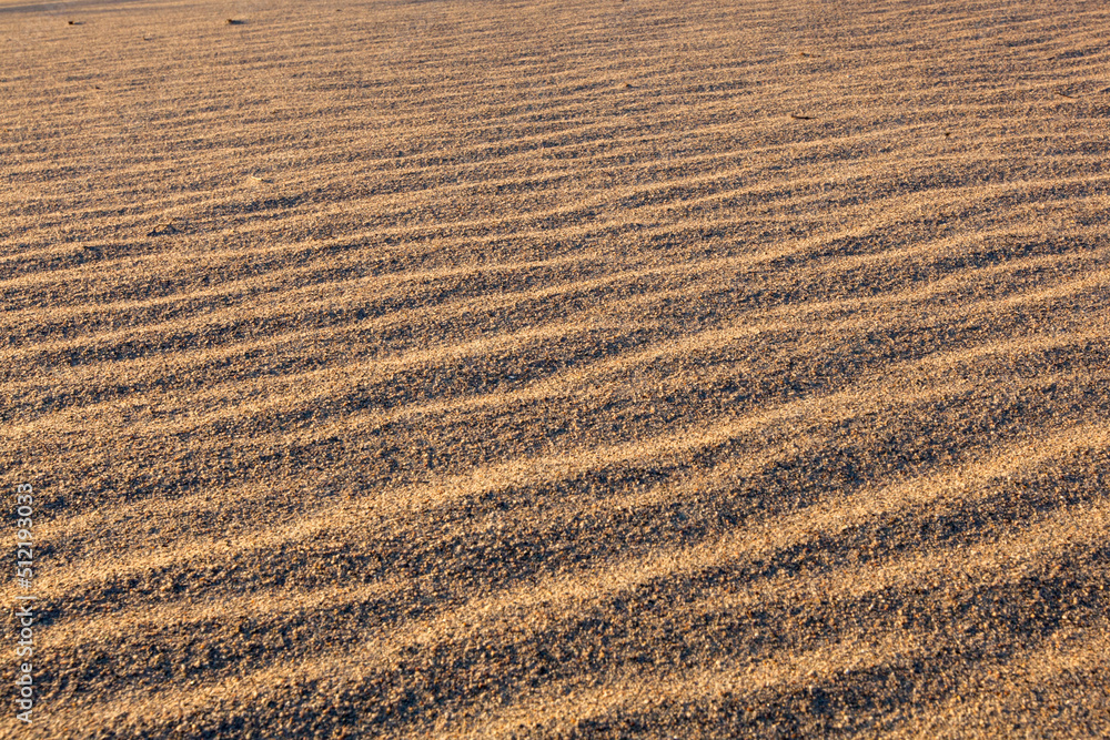 Sun on sand ripples Sun on sand ripples
