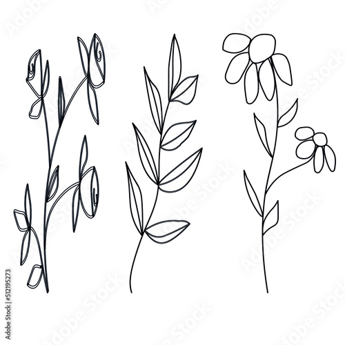 Fototapeta Naklejka Na Ścianę i Meble -  Plant species,rose.leaves,chamomile.Lines,vektor