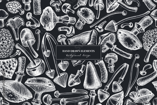 Forest mushrooms seamless pattern background design. Engraved style. Hand drawn mushrooms, fly agaric, blewit, etc.