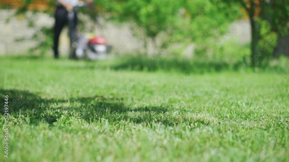Grass in the foreground and a man with a lawnmower approaching in the background Grass in the foreground and a man with a lawnmower approaching in the background