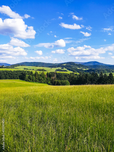 Panorama of the Beskids Poland, Slovakia Mountain View © Tetiana
