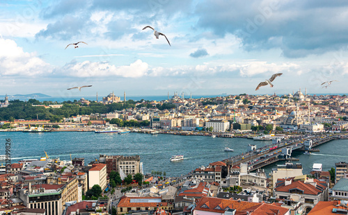 Photography Istanbul panorama with Galata bridge and seagulls, skyline with Golden Horn stra