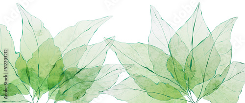 Art banner with green tree leaves in a transparent watercolor style. Botanical banner for wallpaper design, decor, interior design, print.