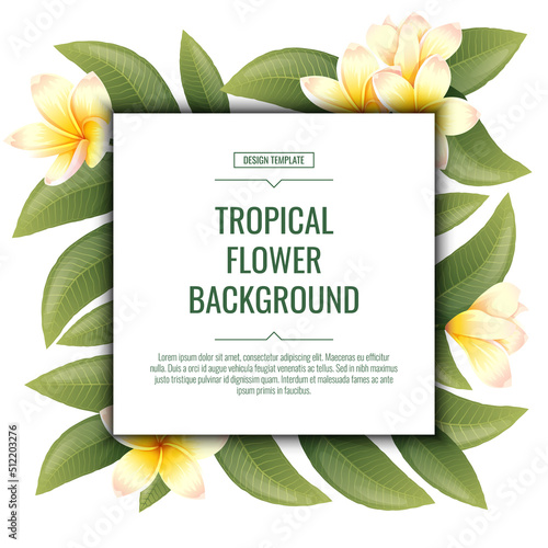 Square background with plumeria flowers. Tropical frangipani plant. Banner, poster, flyer, postcard. Summer illustration.