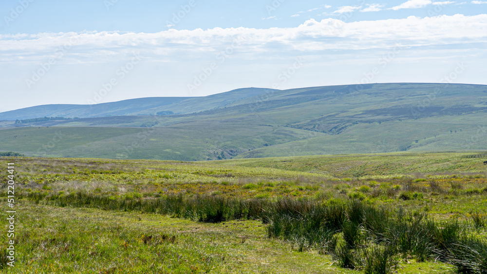 Obraz premium Exmoor