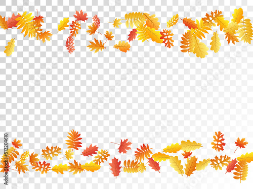 Oak, maple, wild ash rowan leaves vector, autumn foliage on transparent background.