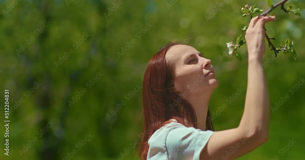 pretty woman is smelling flower of apple tree in blooming garden in spring, 4K, Prores pretty woman is smelling flower of apple tree in blooming garden in spring, 4K, Prores