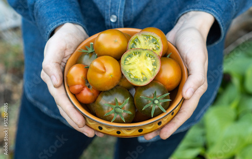 Farmer holds in his hands plate with very juicy tomatoes Marz Green Striped top veiw. Organic fresh produce on sale at the local farmers market. Gardening and agriculture concept. Woman worker hands. photo