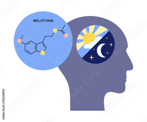 Sleep wake cycle