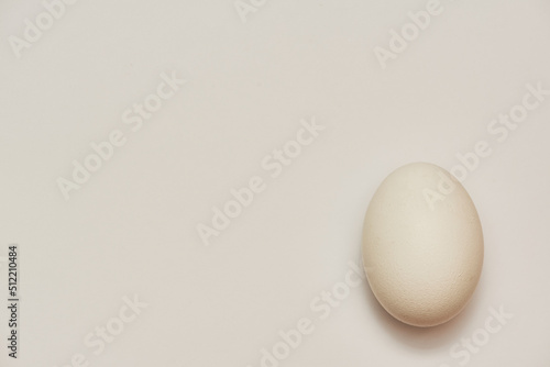A close-up image of a white egg on a white background, a shadow near the egg. Place for inscription