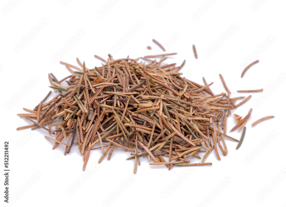 Fototapeta premium old needle isolated on white background