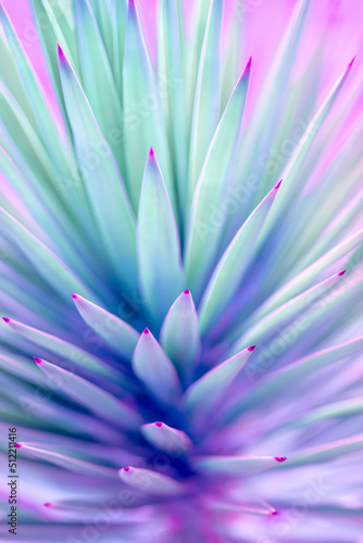 Nature poster. Palm tree  purple and green 