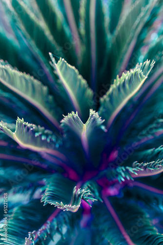 Nature poster. Palm tree (purple and green)