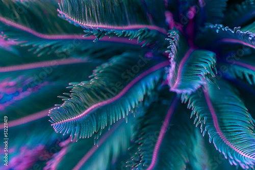 Nature poster. Palm tree (purple and green)