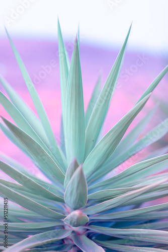 Nature poster. Palm tree (purple and green)