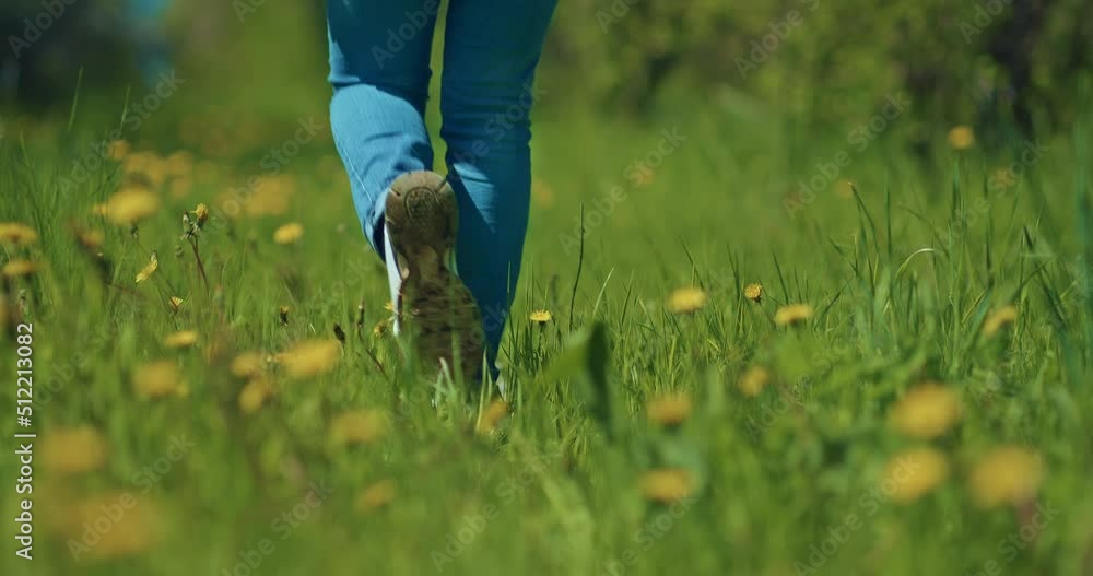 walk in beautiful field with grass and dandelion, closeup of female legs, rear view, 4K, Prores walk in beautiful field with grass and dandelion, closeup of female legs, rear view, 4K, Prores