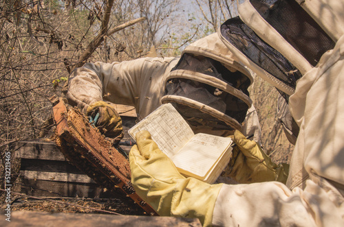 Apiculture on Argentina 5 photo